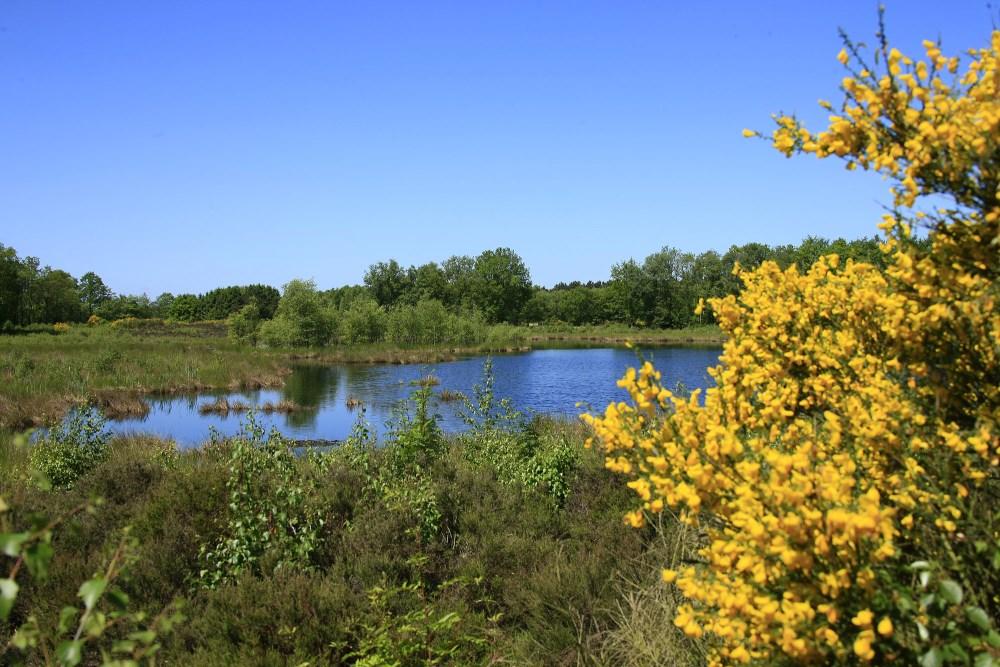 Hondsrug omgeving35